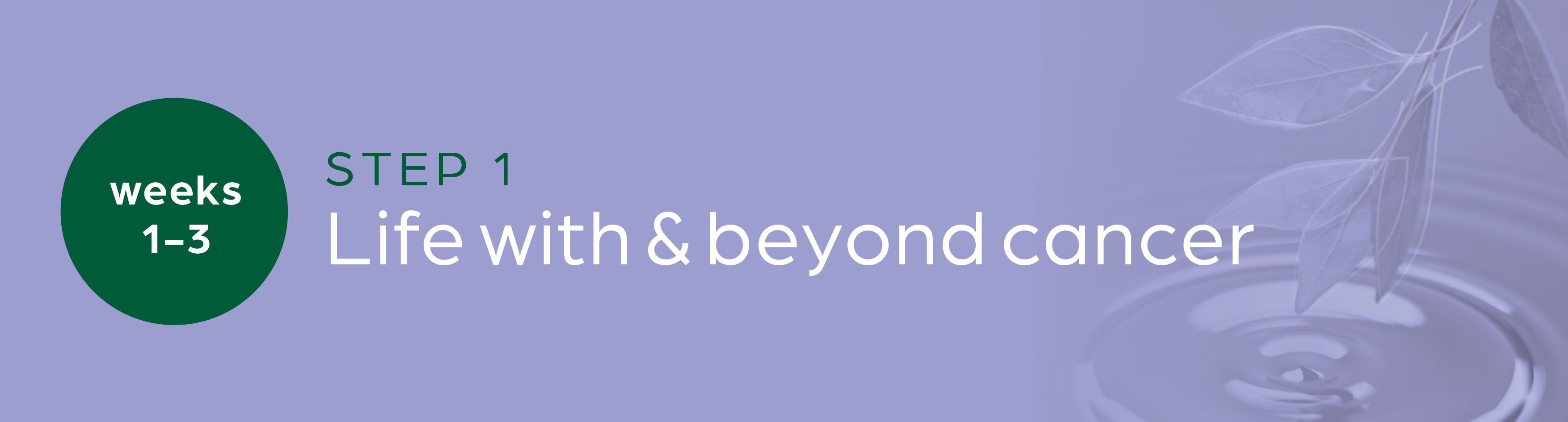 Step One | Life with & Beyond Cancer