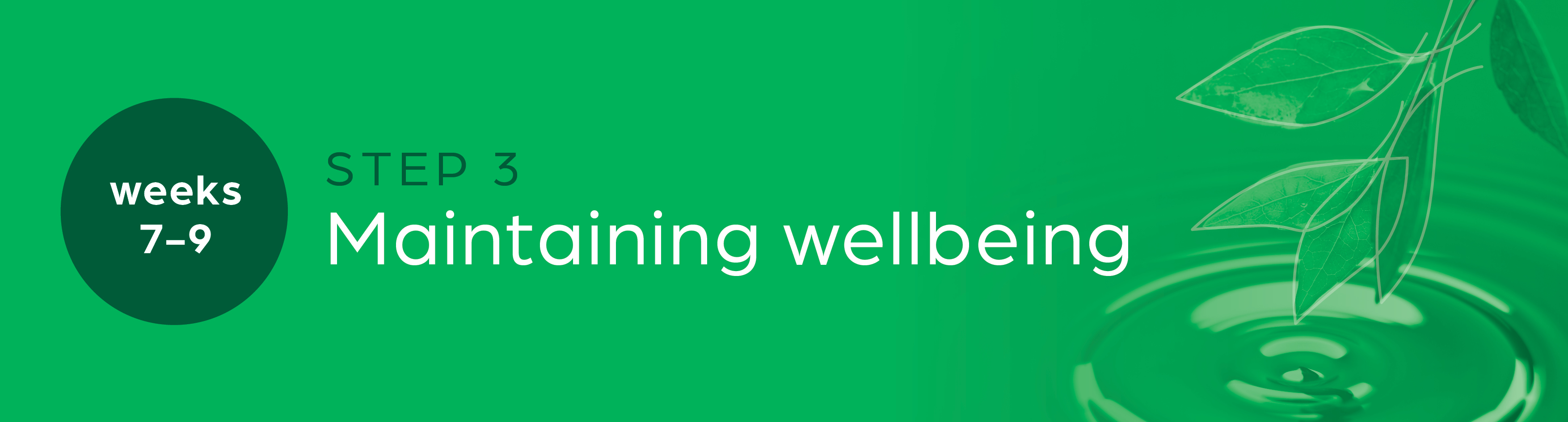 Step Three | Maintaining your Wellbeing